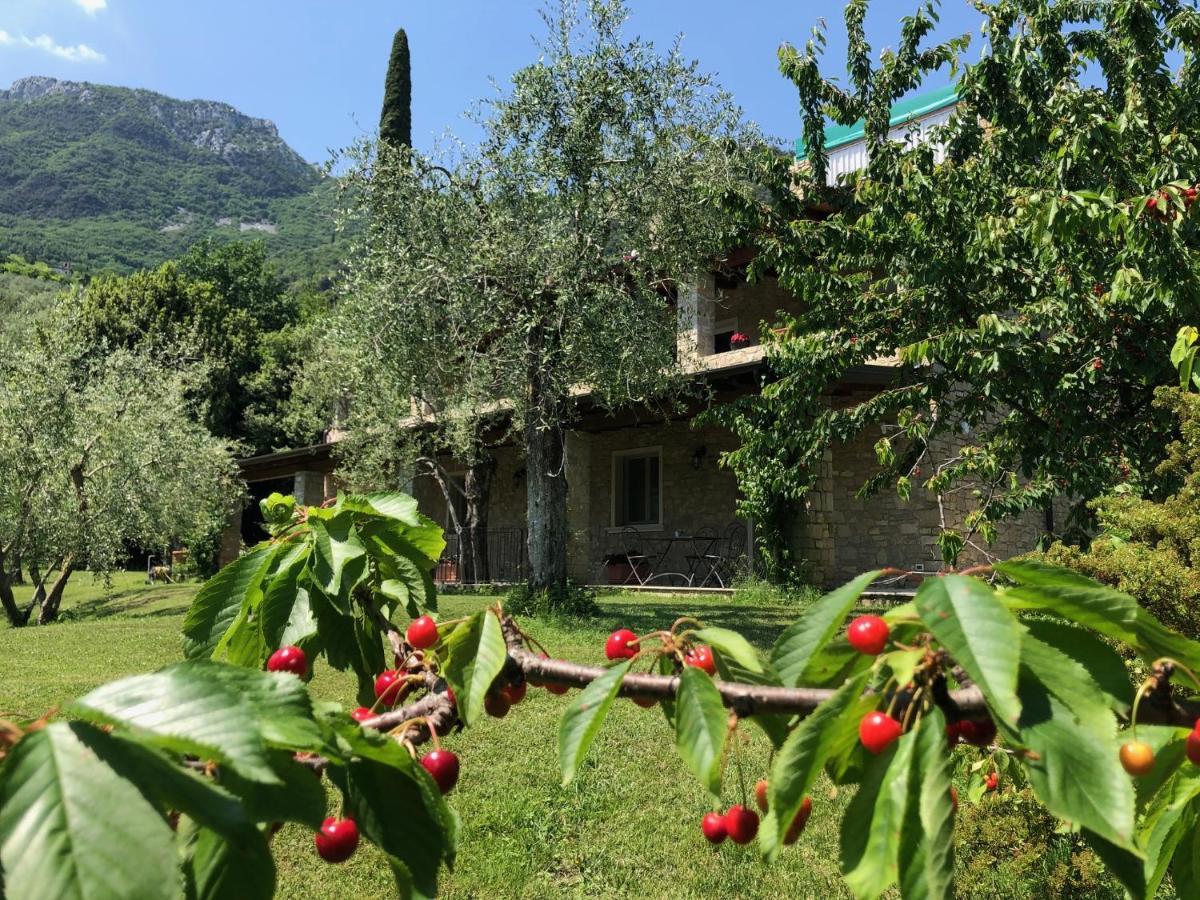 La Cascata Negli Ulivi Bed & Breakfast Тосколано Мадерно Екстериор снимка