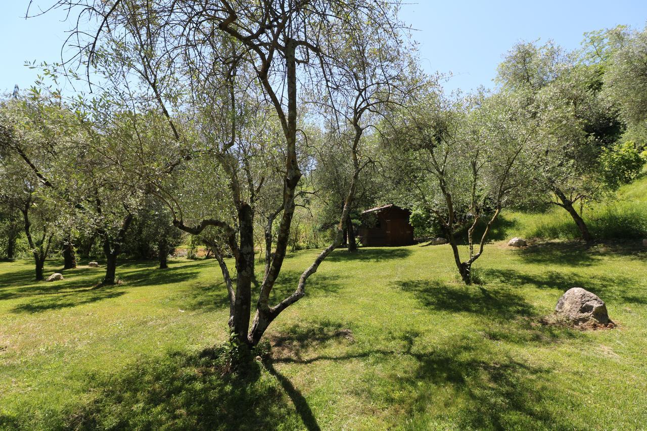 La Cascata Negli Ulivi Bed & Breakfast Тосколано Мадерно Екстериор снимка