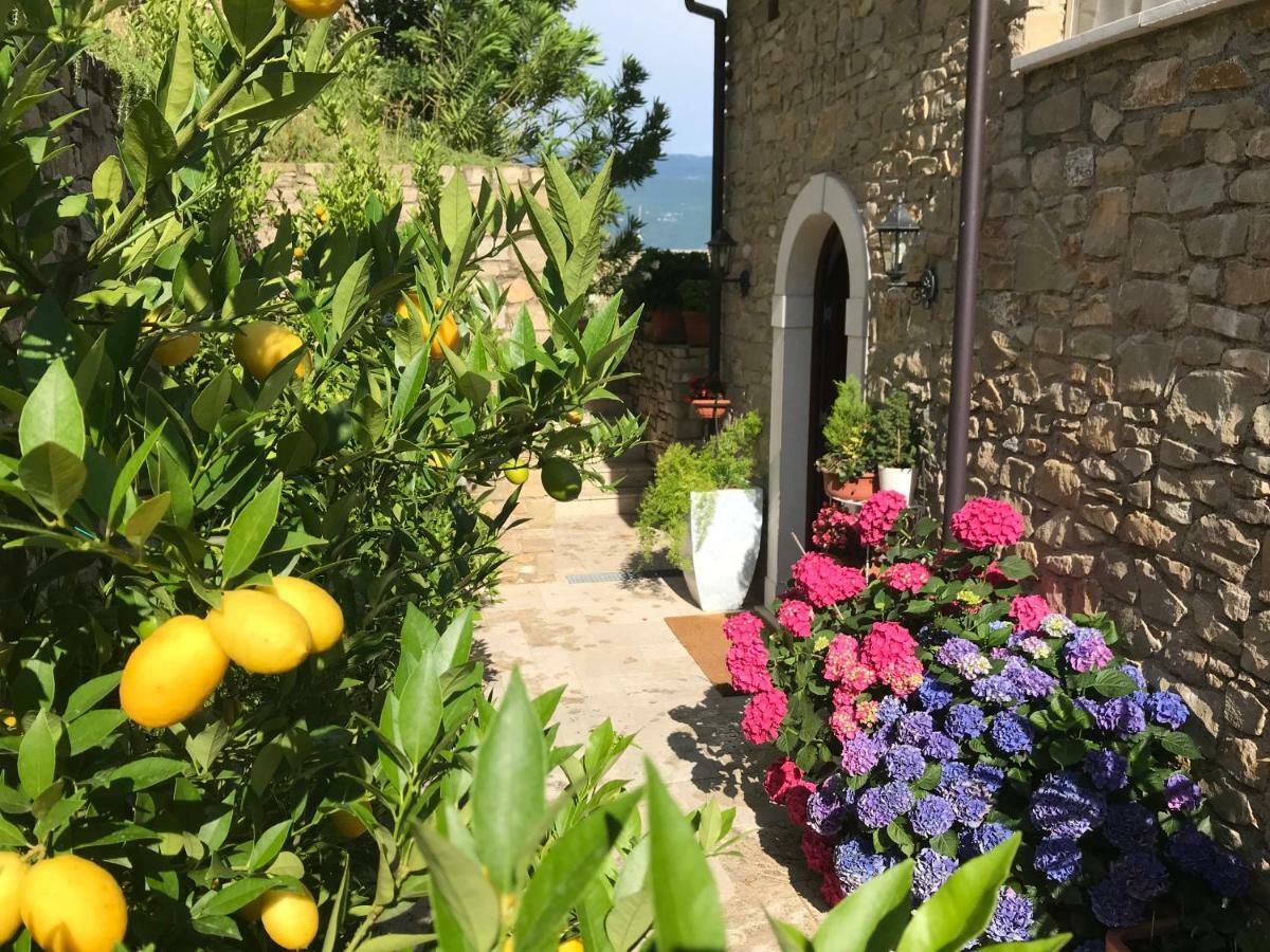 La Cascata Negli Ulivi Bed & Breakfast Тосколано Мадерно Екстериор снимка